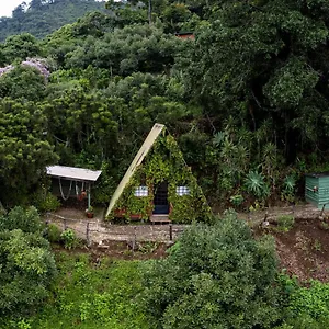 ** Hotel Earth Guatemala